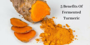 Benefits Of Fermented Turmeric - Graphic
