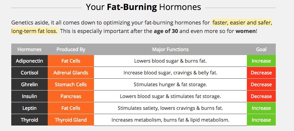 Weight Loss Supplement - Fat-Burning Hormones Chart