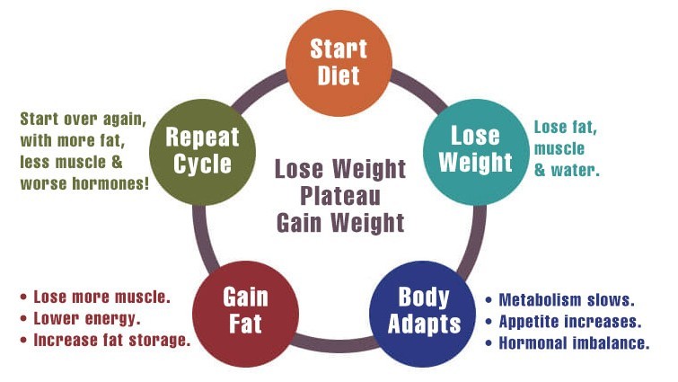 Weight Loss Supplement - Gain Fat / Lose Weight Graphic