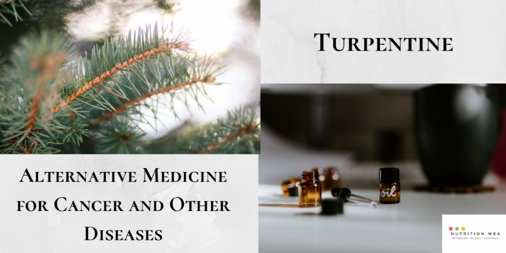 Turpentine - A Complementary Therapy For Cancer - Pine Tree Sprigs 