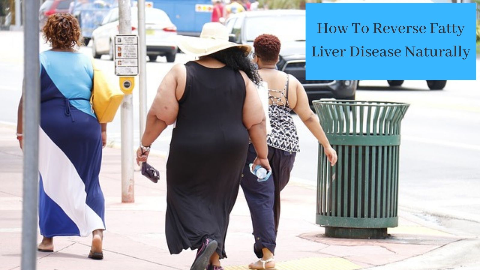 How To Reverse Fatty Liver Disease Naturally - Fat People Walking