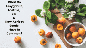 What Do Amygdalin, Laetrile, B17 and Raw Apricot Seeds Have In Common - Apricots in Bowl