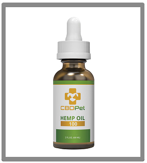 What Can CBD Oil Be Used For - CBD Oil For Pets