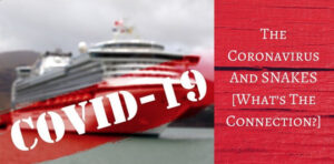 Coronavirus And Snakes - Red Cruise Ship