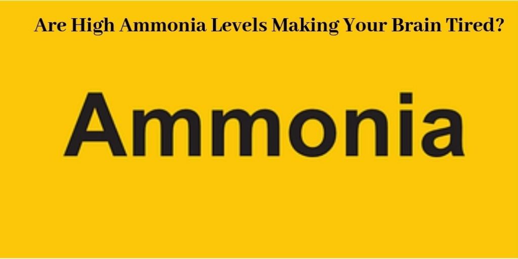 High Ammonia Levels - The Word Ammonia