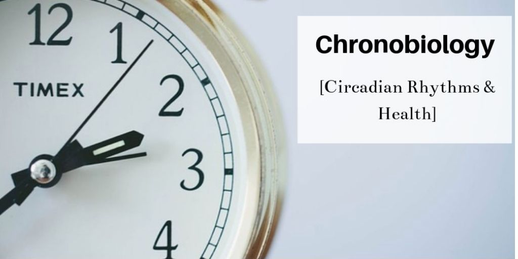 What Is Chronobiology - Hands On A Clock