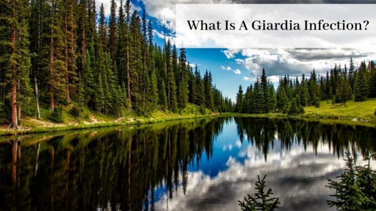 What Is A Giardia Infection - Beautiful Lake