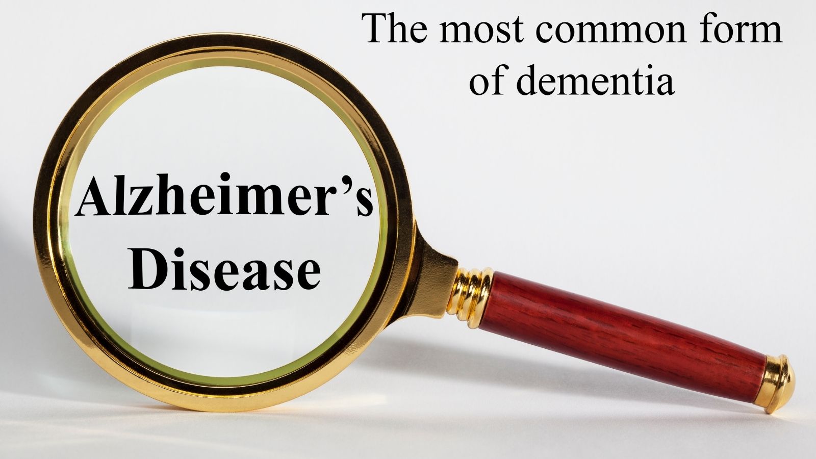 What Are The 7 Stages Of Alzheimer's Disease - Magnifying Glass 