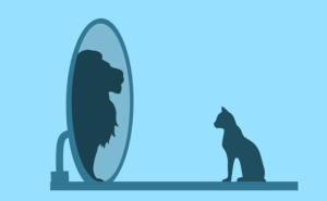 What Are The 5 Es of Narcissism - Cat Looking At Reflection of Lion