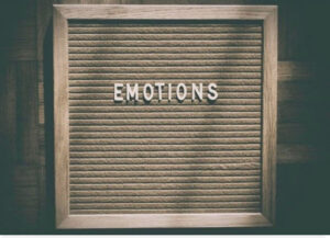 Between A Narcissist & A Sociopath - The Word "Emotions" On Board