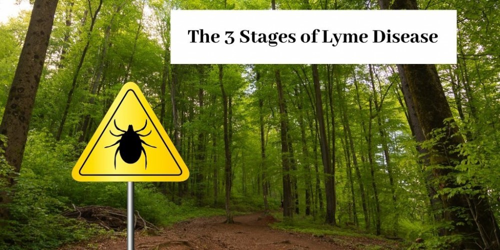 What Are The 3 Stages Of Lyme Disease - Black Tick on Yellow Sign