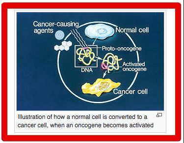 What Are Retroviruses - Oncogene Chart