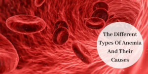 The Different Types Of Anemia And Their Causes - Red Blood Cells