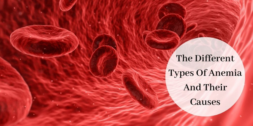 The Different Types Of Anemia And Their Causes - Red Blood Cells