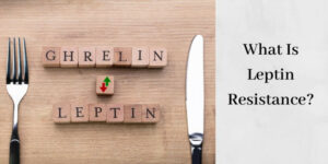what is leptin resistance graphic
